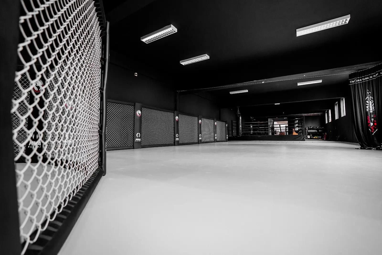 Widok przez panel siatki na całą salę: ściana Cage Wall, szara mata i ring bokserski w głębi