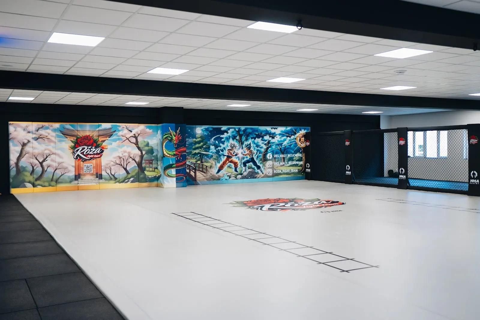 Cała sala treningowa: materace ścienne z grafiką klubową, ściana Cage Wall, jasna mata z logo i drabinką koordynacyjną
